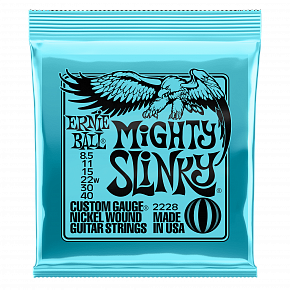 ERNIE BALL 2228