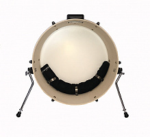 ������ MBD-1