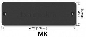 CORT MK-1