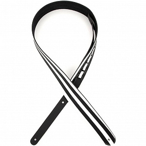 PLANET WAVES L25W1402