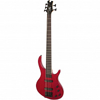 EPIPHONE Toby Deluxe-V Bass (gloss) TR