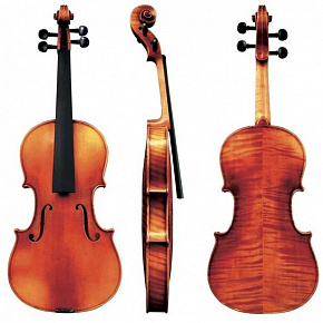 GEWA Maestro 6