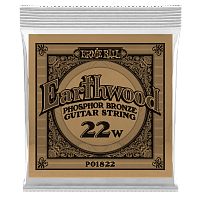 ERNIE BALL 1822