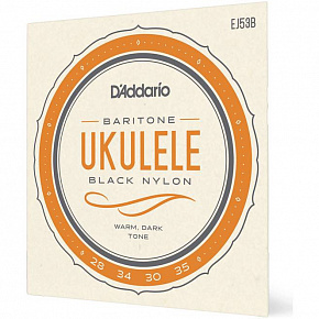 D'ADDARIO EJ53B