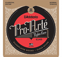 D'ADDARIO EJ45