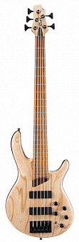 CORT B5 Element OPN