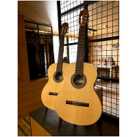 PEREZ 600 SPRUCE CARAMELO