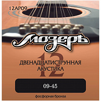 ������ 12AP09