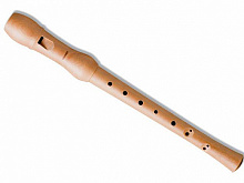 HOHNER B9560