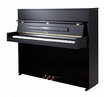 PETROF P 118S1(0801)