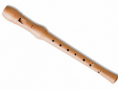 HOHNER B9560