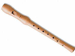HOHNER B9560