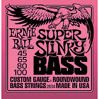 ERNIE BALL P02834