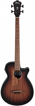 IBANEZ AEGB24E-MHS