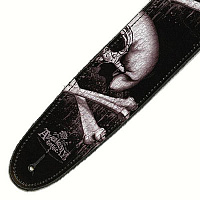 PLANET WAVES 25LAL01
