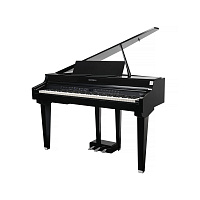 KURZWEIL CUP G1W BP