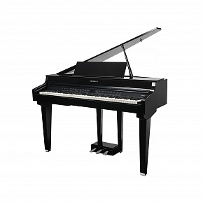 KURZWEIL CUP G1W BP