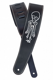 PLANET WAVES 25LS-JS2
