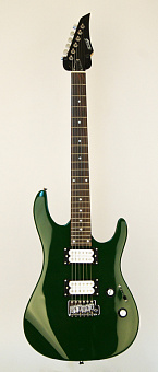 HOMAGE HEG461GR