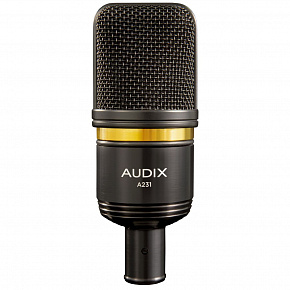 AUDIX A231