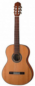 ROOT NOTE RNC300C-NS