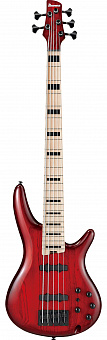 IBANEZ ANB205-TWB ADAM NITTI 5