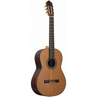 ALTAMIRA N400+Case