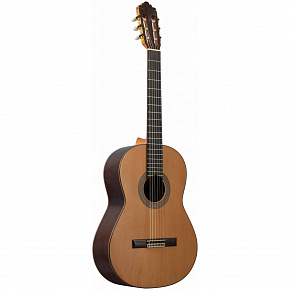 ALTAMIRA N400+Case