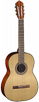 CORT AC100-SG