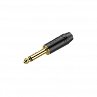 ROXTONE RJ2PP-NS-BG