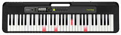 CASIO LK-S250