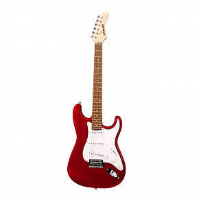FERNANDES LE-1Z 3S CAR/L