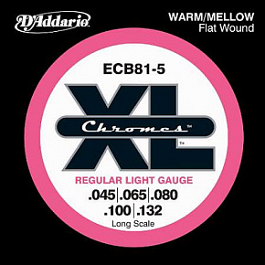 D'ADDARIO ECB81-5