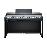 KURZWEIL CUP P1 SR