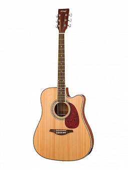 HOMAGE LF-4123-SCEQ-N