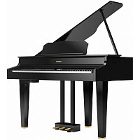 ROLAND GP607-PE