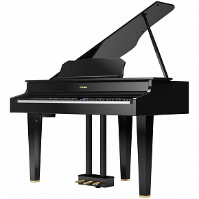 ROLAND GP607-PE