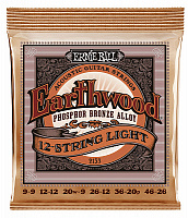 ERNIE BALL P02153