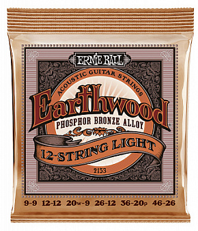 ERNIE BALL P02153