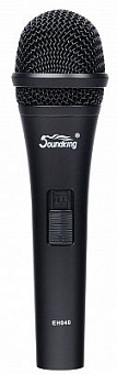 SOUNDKING EH040