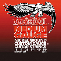 ERNIE BALL P02204