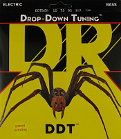 DR DDT5-55