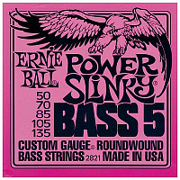 ERNIE BALL P02821