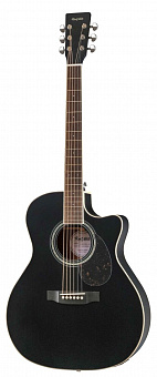 ROOT NOTE RGA300CE-BK