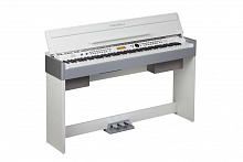 MEDELI CDP5200-WH