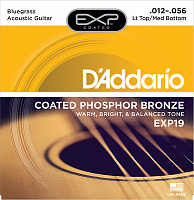 D'ADDARIO EXP19