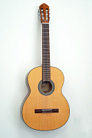 CORT AC70-SG