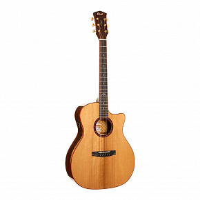 CORT Gold-A10-Cocobolo-WCASE-N