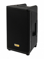 SOUNDKING Y10P