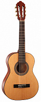 CORT AC50-WBAG-OP